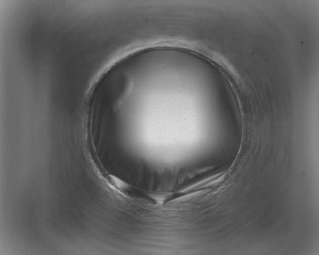 X0000082941504200702152200