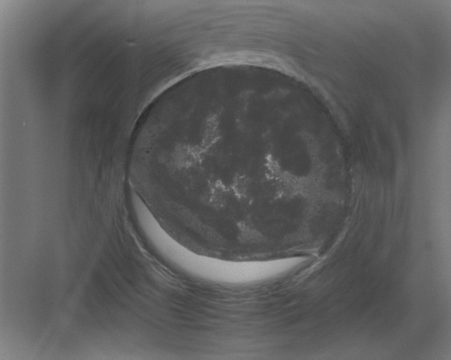 X0000082941505200702152200