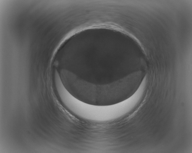 X0000082941506200702152200