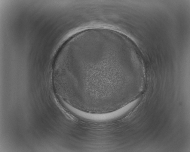 X0000082941507200702152200