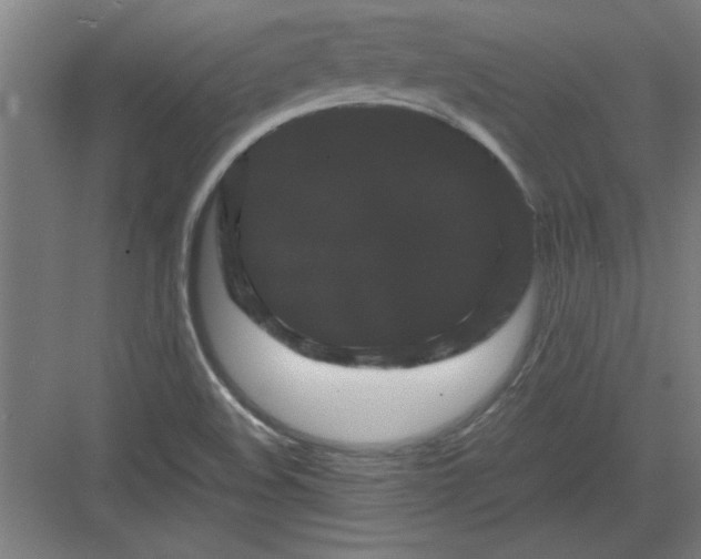 X0000082941508200702152200