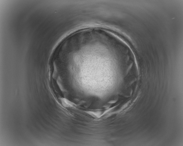 X0000082941509200702152200