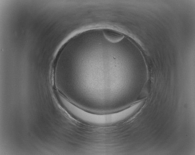 X0000082941510200702152200