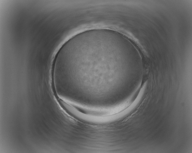 X0000082941512200702152200