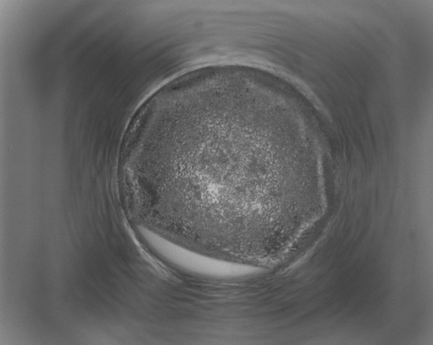 X0000082941513200702152200