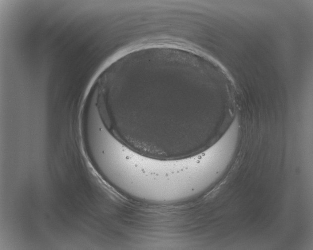 X0000082941514200702152200