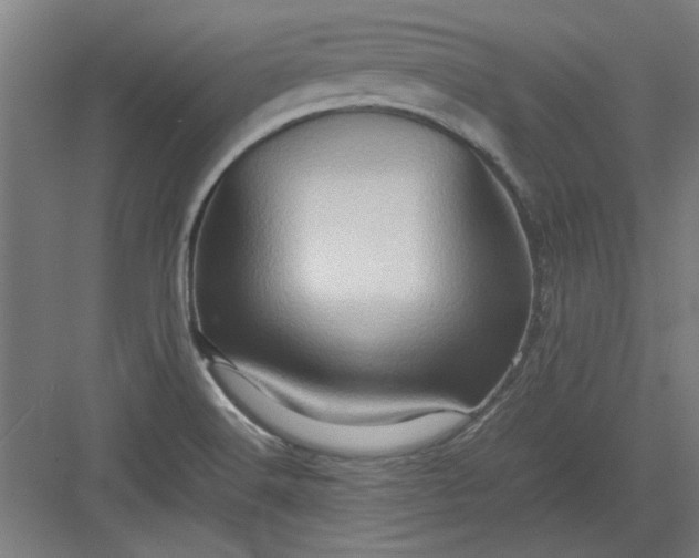 X0000082941516200702152200