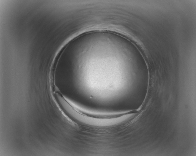 X0000082941517200702152200