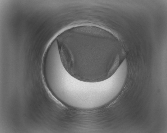 X0000082941518200702152200