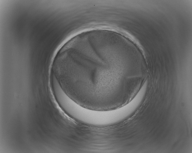 X0000082941520200702152201