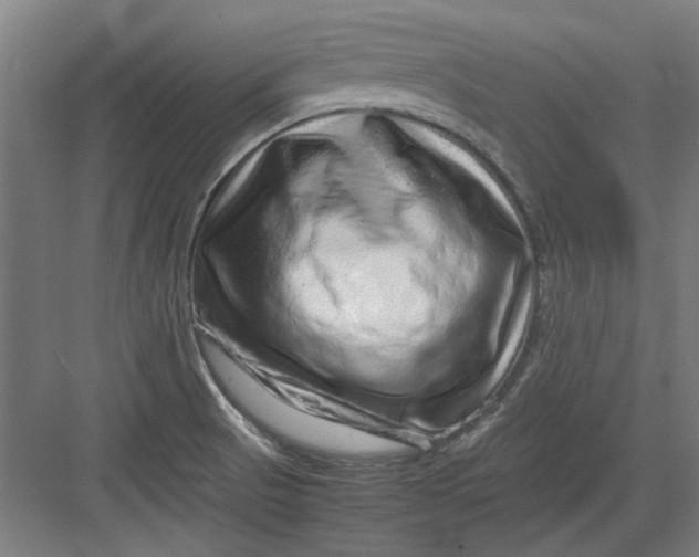 X0000082941521200702152201