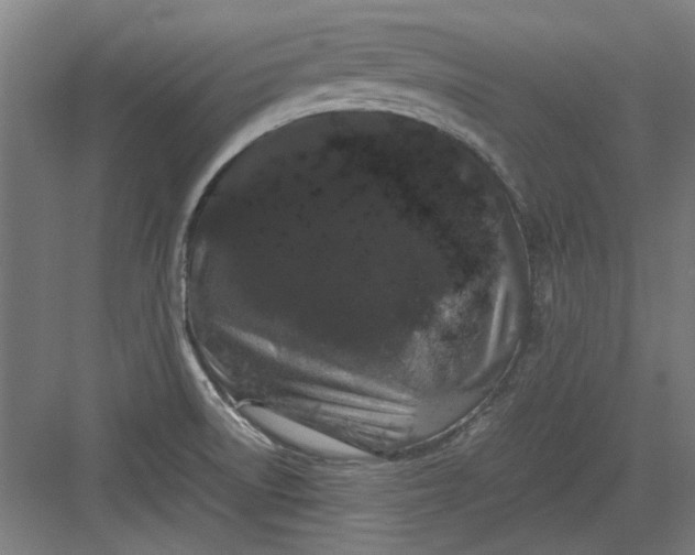 X0000082941522200702152201