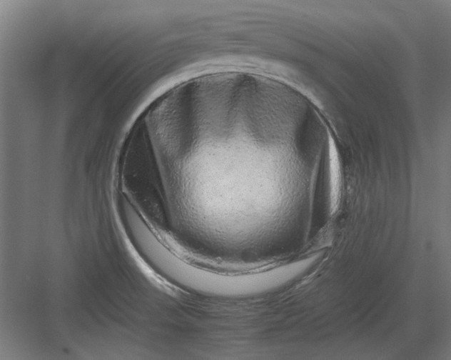 X0000082941523200702152201