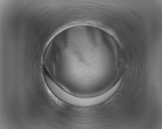 X0000082941524200702152201