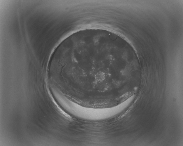 X0000082941525200702152201