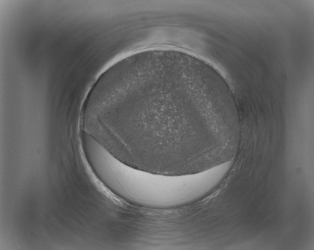 X0000082941526200702152201