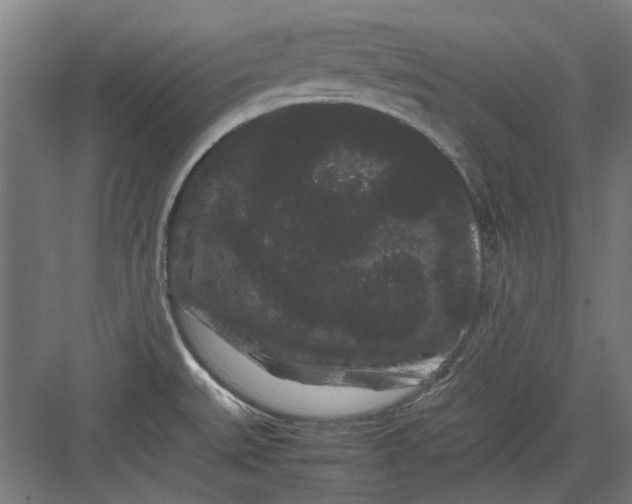 X0000082941527200702152201