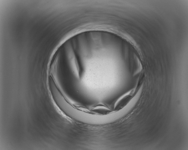 X0000082941528200702152201