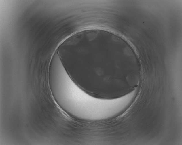 X0000082941529200702152201