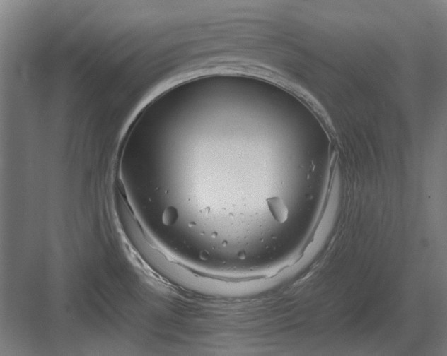 X0000082941530200702152201