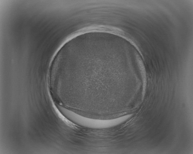 X0000082941531200702152201