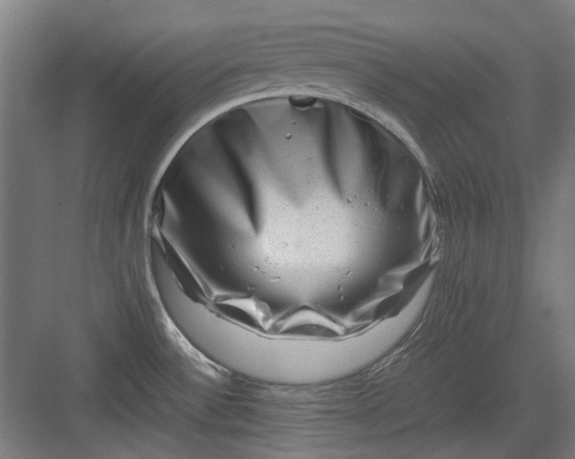 X0000082941532200702152201