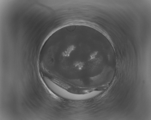 X0000082941533200702152201