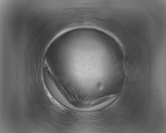 X0000082941534200702152201