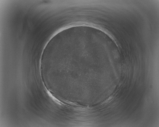 X0000082941535200702152201