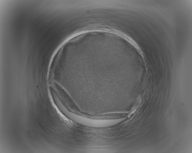 X0000082941536200702152201