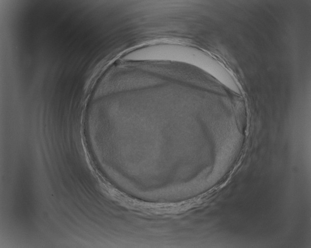 X0000082940001200702222259