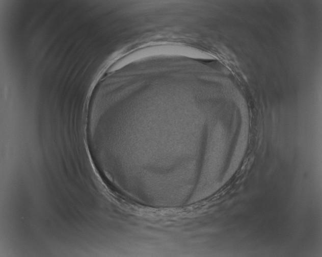 X0000082940003200702222259