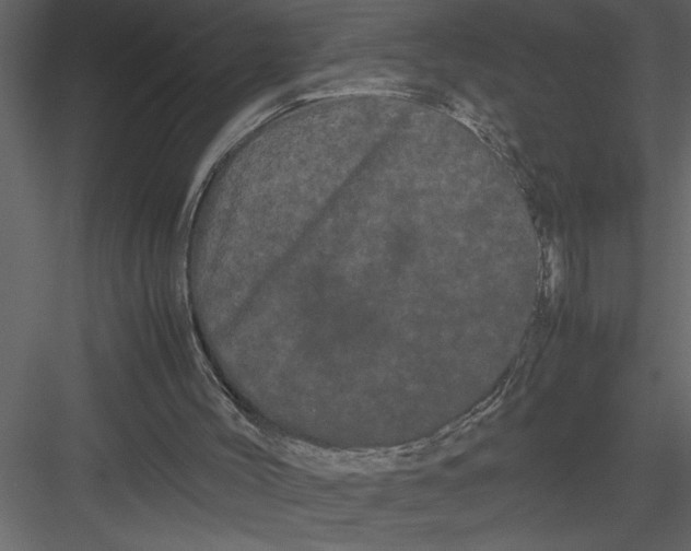 X0000082940004200702222259