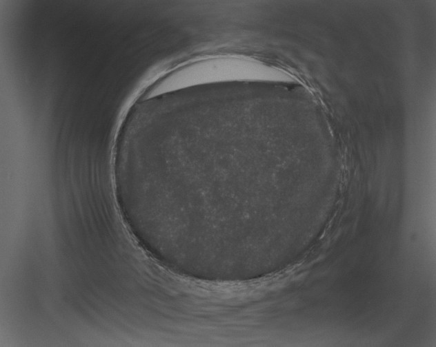 X0000082940006200702222259