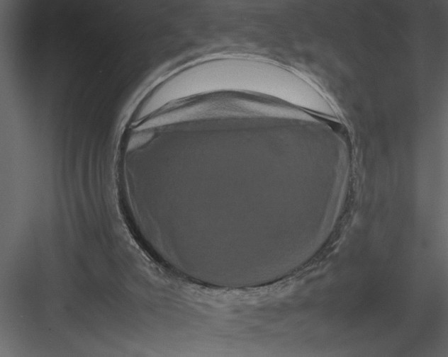 X0000082940007200702222259