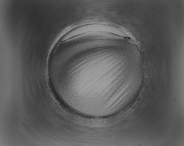 X0000082940008200702222259