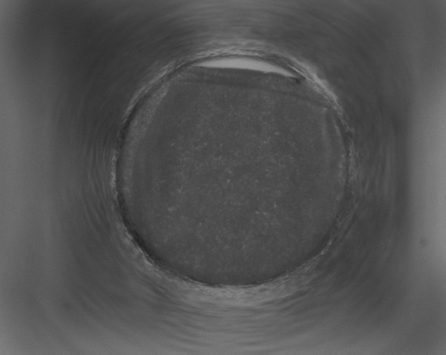 X0000082940010200702222259