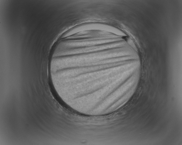 X0000082940011200702222259