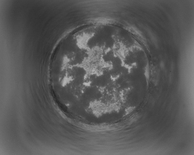 X0000082940012200702222259