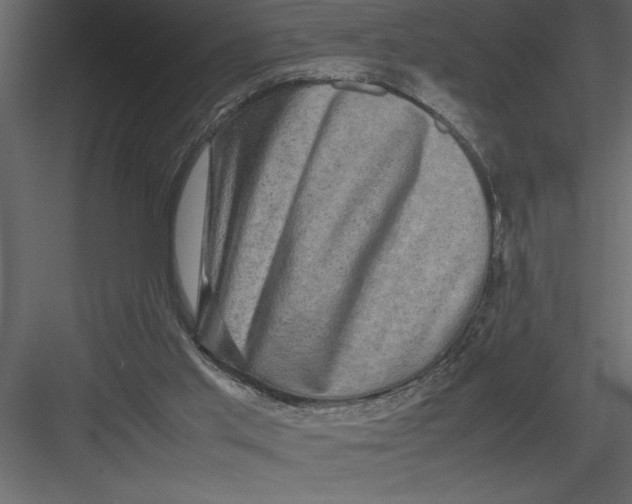 X0000082940013200702222259