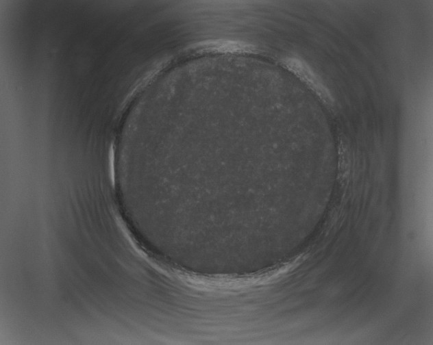 X0000082940014200702222259