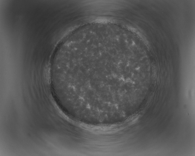 X0000082940016200702222259