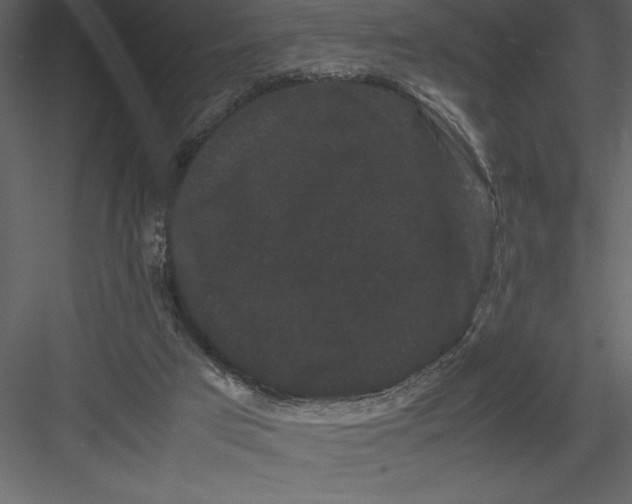 X0000082940017200702222259