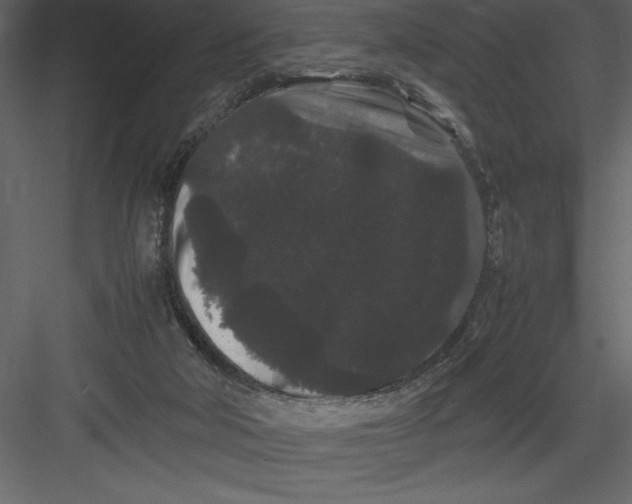 X0000082940018200702222259