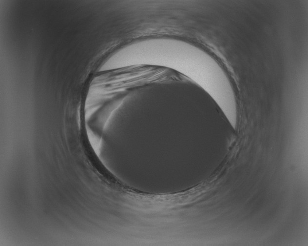 X0000082940019200702222259