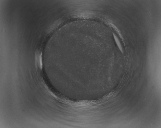 X0000082940020200702222259