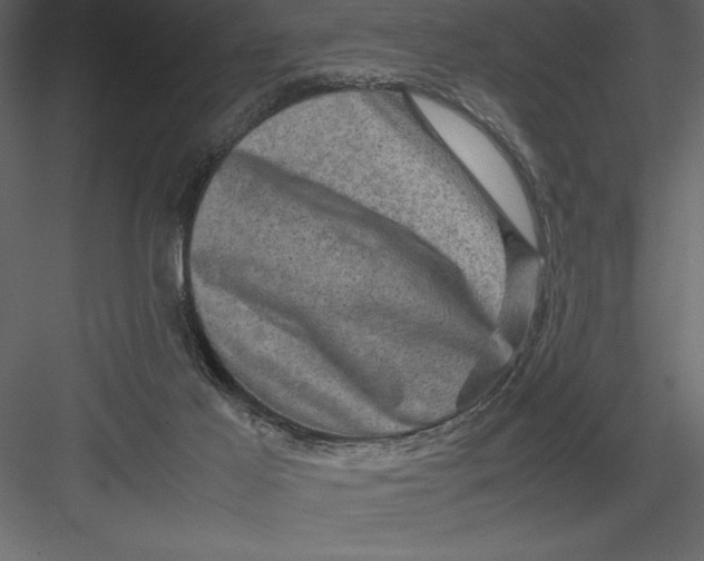 X0000082940021200702222259