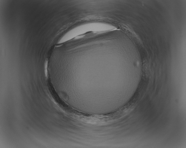 X0000082940024200702222259