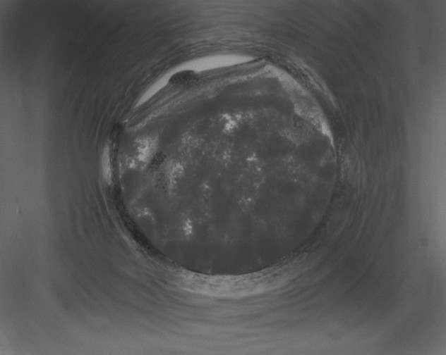 X0000082940026200702222258