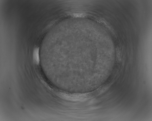 X0000082940028200702222258